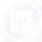 Icone LinkedIn